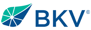 bkv corporation