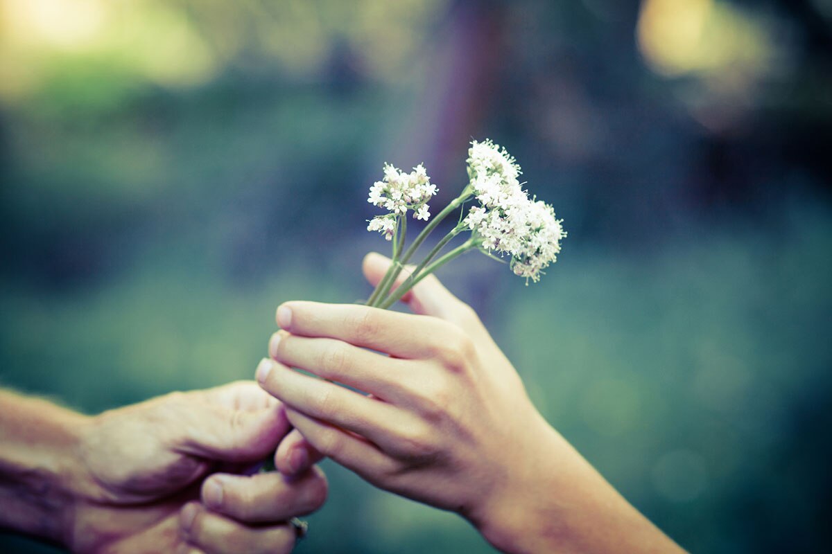 older hand giving flowers to younger hand